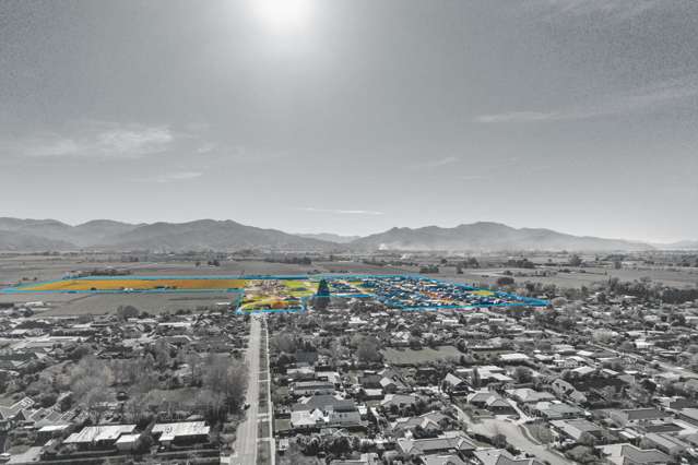 Lot 115 Rose Manor Subdivision Springlands_4