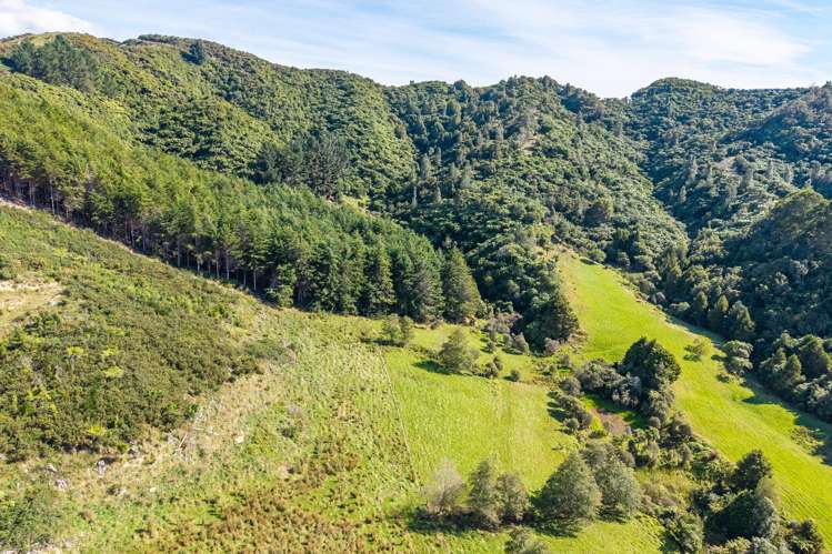 358 Kuku East Road Manakau_21