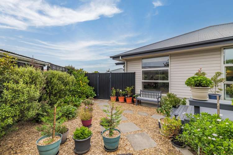 10 Cowper Place Avondale_16