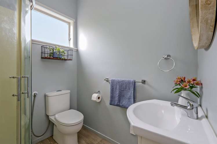 421a Hemi Street Raureka_8