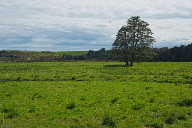 650 Lake Brunner Road Moana_37