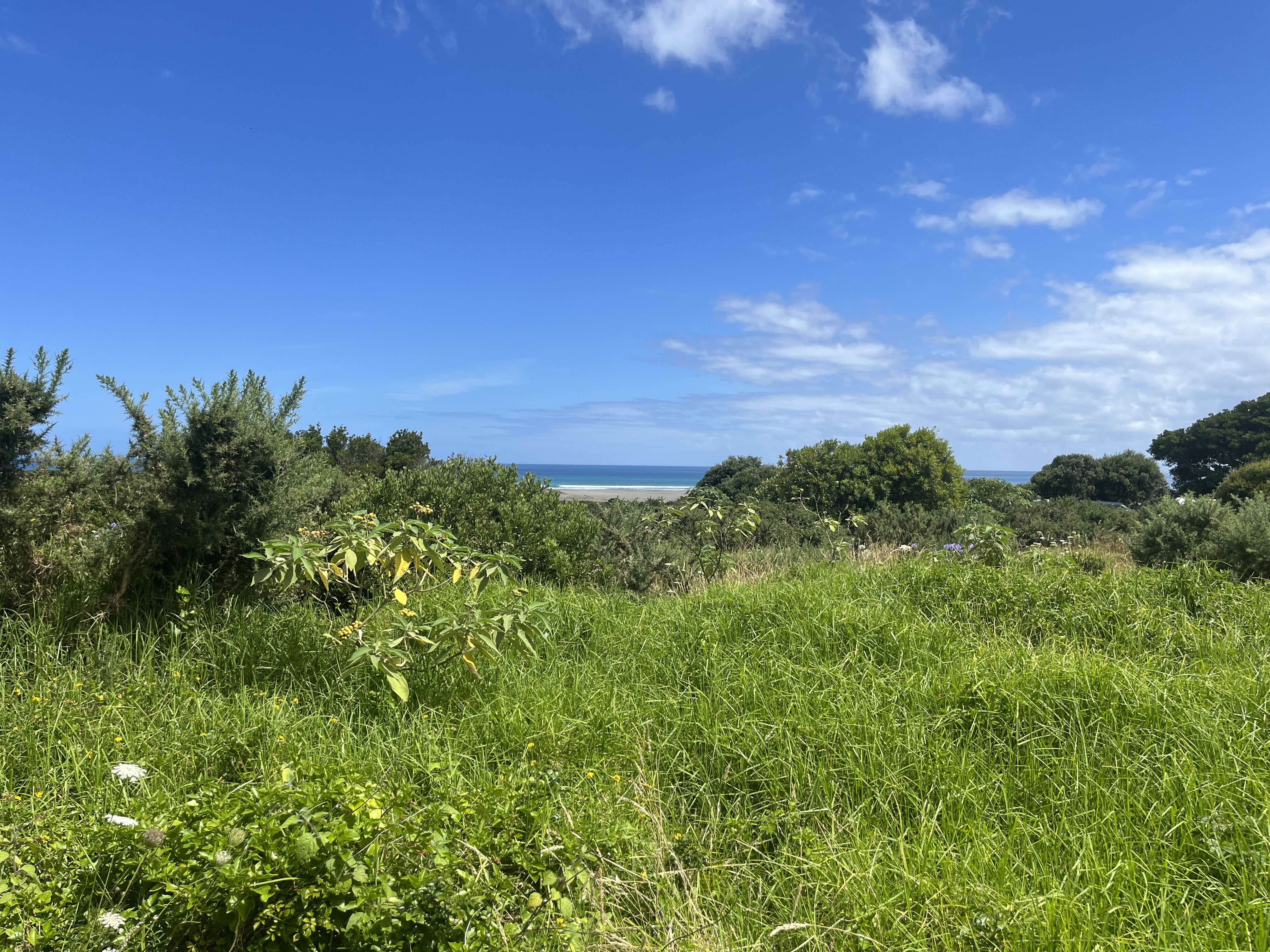 13B Moa Street Ahipara Far North Houses for Sale One Roof