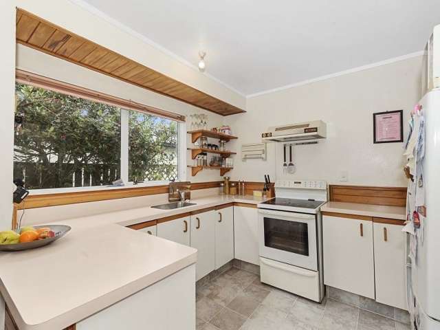 10a Hudson Street Riverlea_1