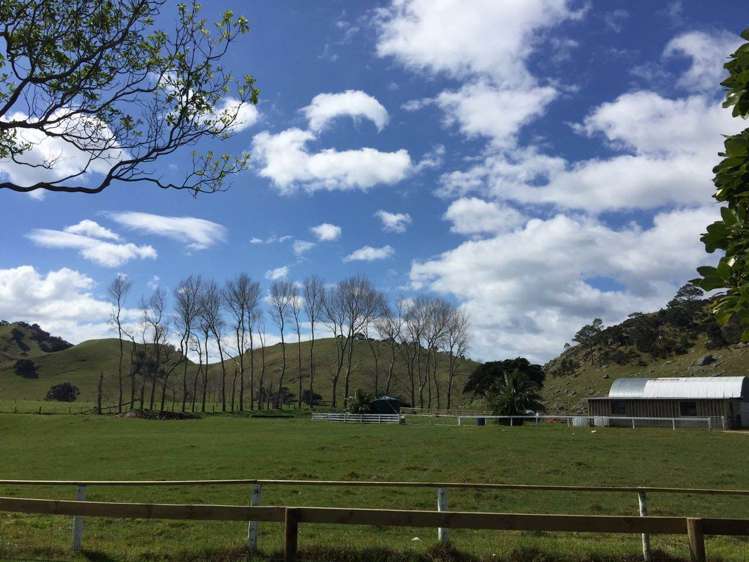 190 Pacific Ocean, Slipper Island (Whakahua) Thames_55