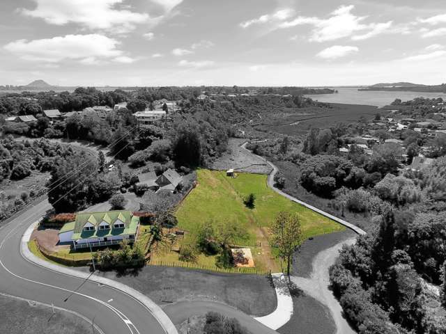 26 Hammond Street Hairini_4