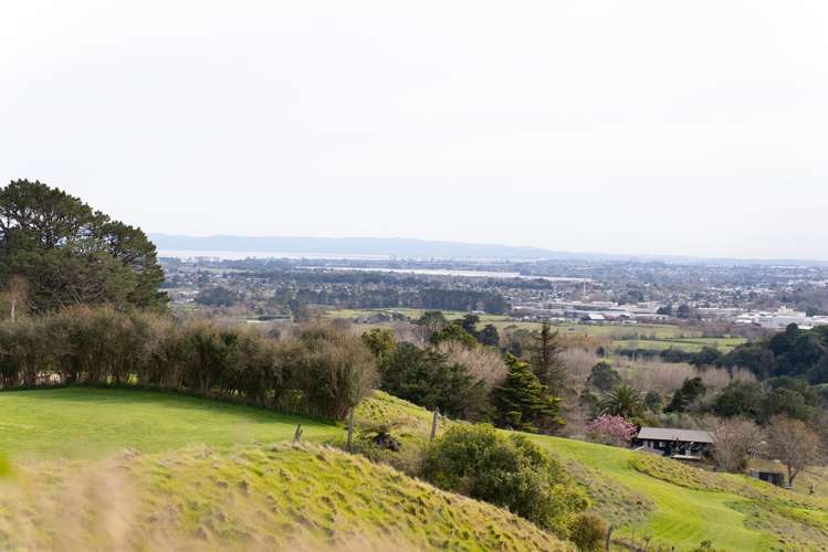 528 Ponga Road Opaheke_29