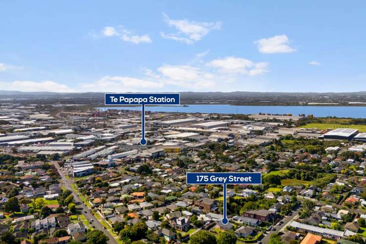 175 Grey Street Onehunga_14