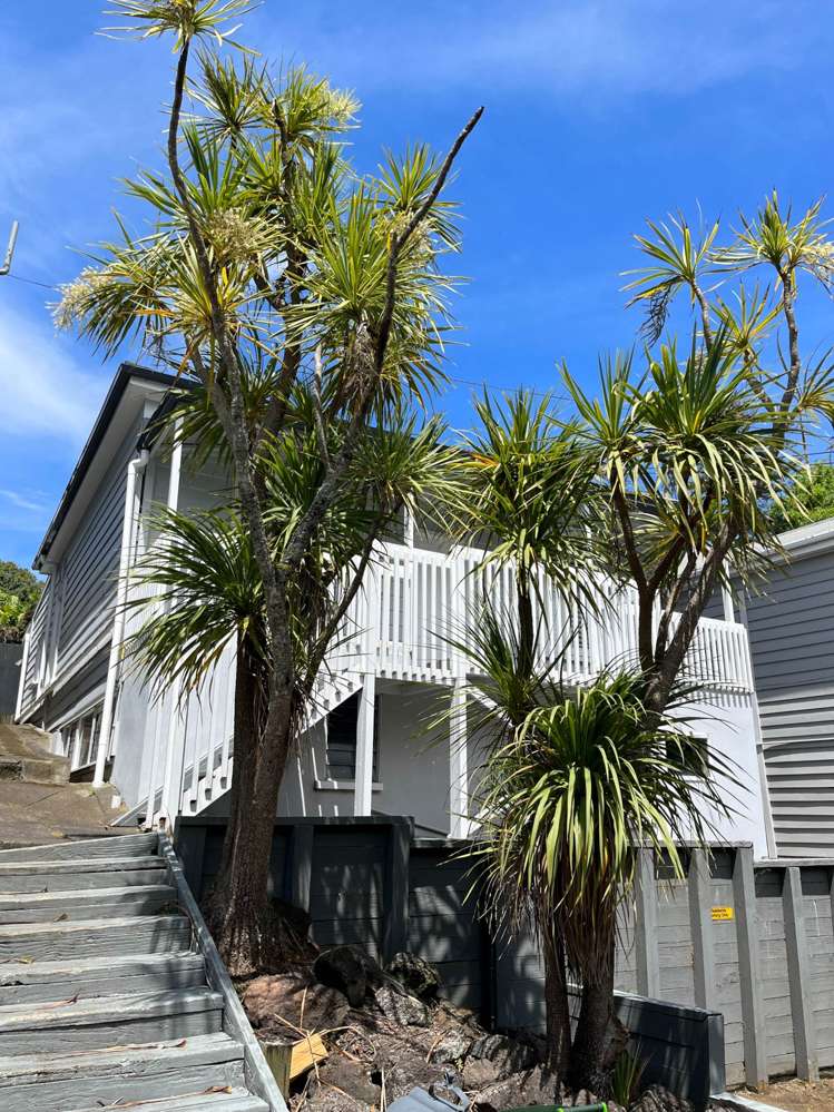 6 Takau Street Eden Terrace_1