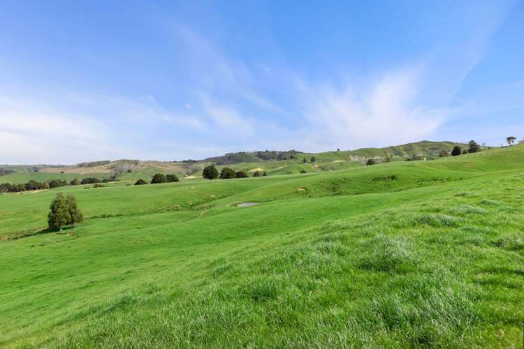 895 Wairamarama Onewhero Road Onewhero_21