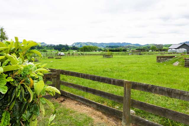 104 Hansen Road Makauri_2