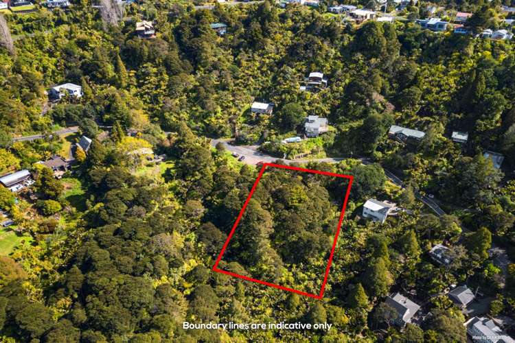 25 Warner Park Avenue Laingholm_1