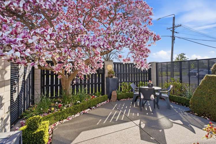 44 Breezes Road Avondale_7