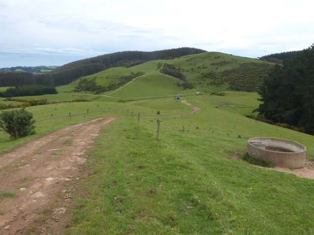 SOUTHERN SOUTHLAND FARM