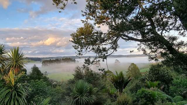 251 Whitehills Road Wainui_1