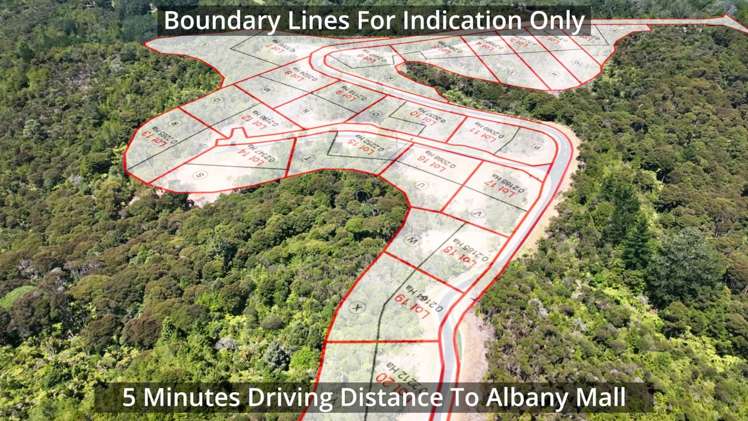 Albany Heights Road Dairy Flat_7