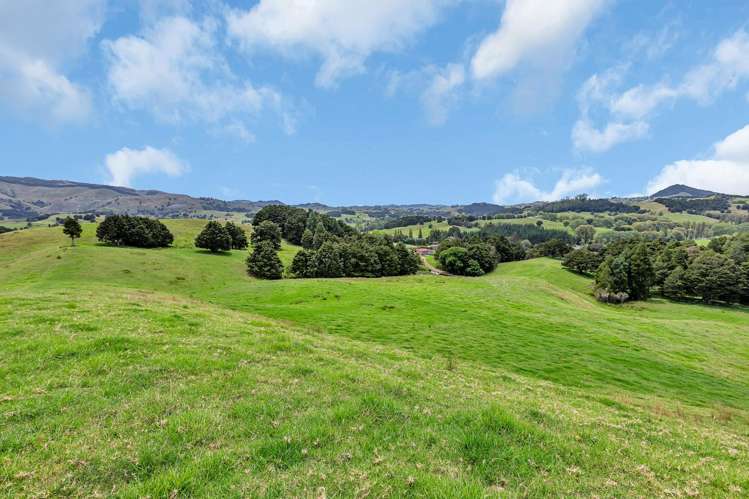 Pipiwai Road Purua_17