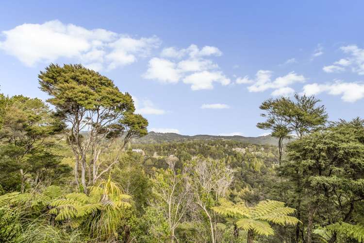 218 Forest Hill Road Waiatarua_9