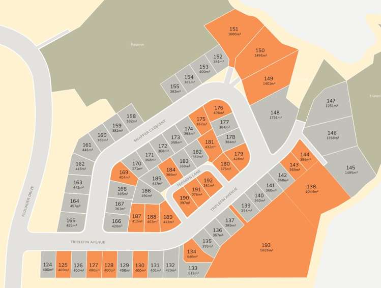 8 Snapper Cres Ōmokoroa_7