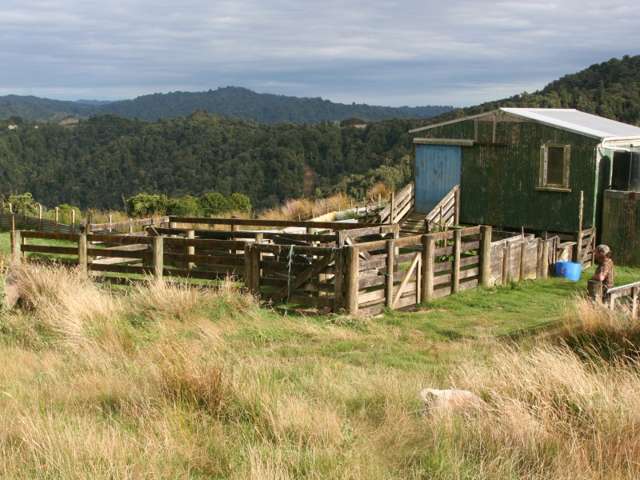 1231 Okahutiria Road Waverley_3