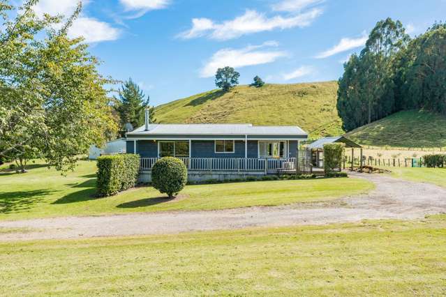 302 Whangamata Road Kinloch_1