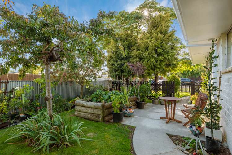 16a Brian Bary Street Redwoodtown_11