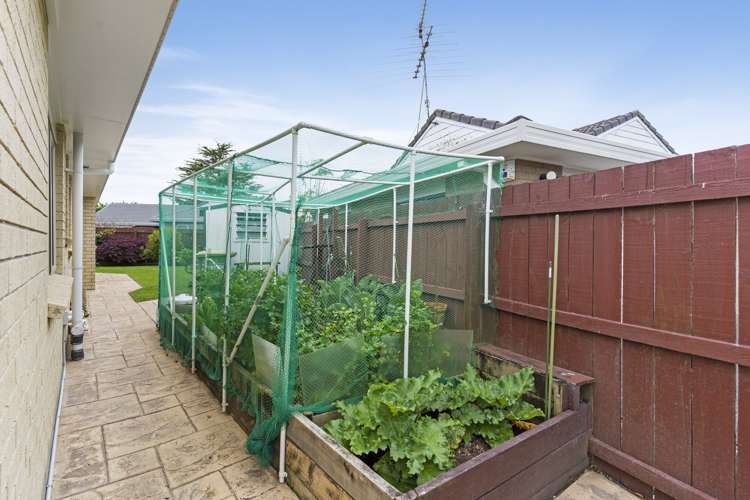 37 Motutapu Avenue Manly_19