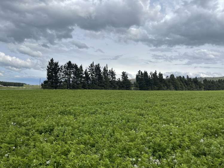 969 Nenthorn Road Moonlight_18