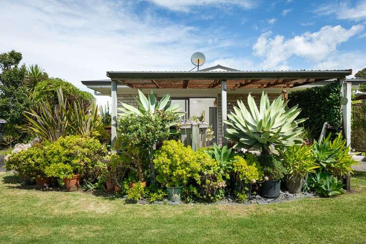 4a Otto Road Waihi Beach_15