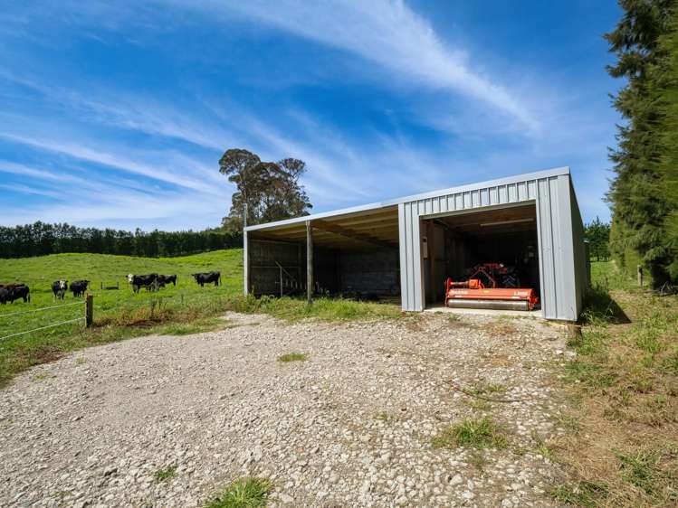 449 Crawford Road Te Puna_8