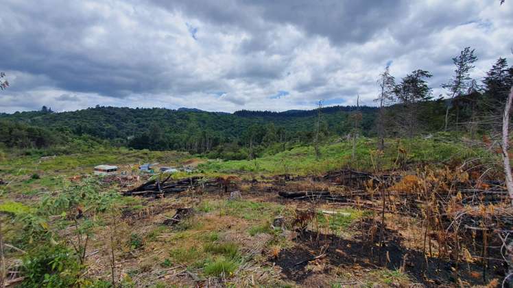 574 Honeymoon Valley Road Peria_8