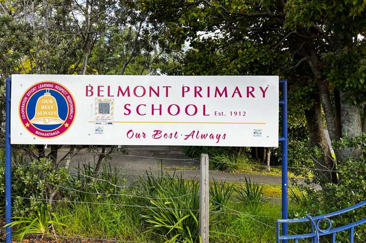 12 Niccol Avenue Narrow Neck_20