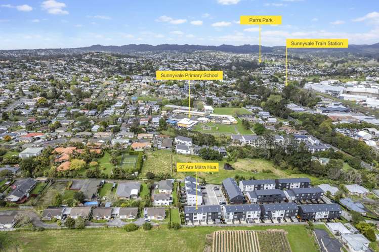 37 Ara Mara Hua Henderson_21