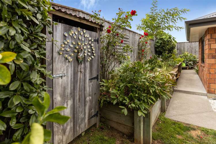 42a Inkerman Street Renwick_24