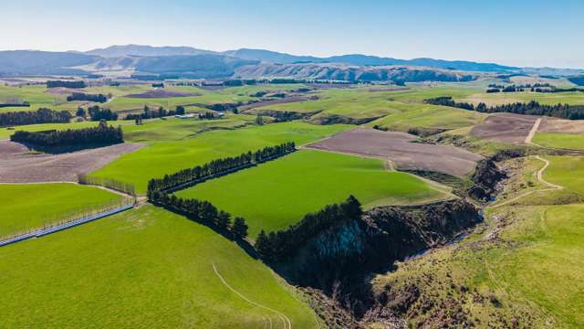 Tidy Dairy Support and Finishing Property