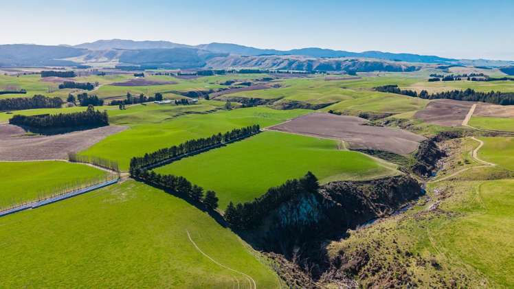 467 Waihaorunga Back Road_0