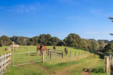 678 Waiuku Road_4