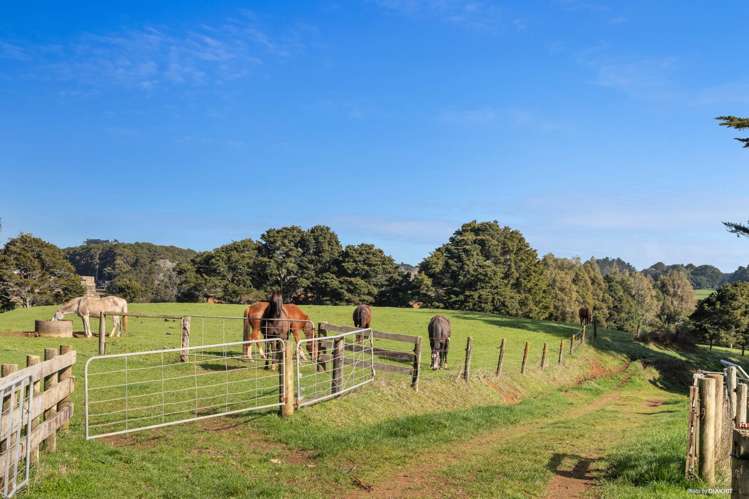 678 Waiuku Road Pukekohe_4