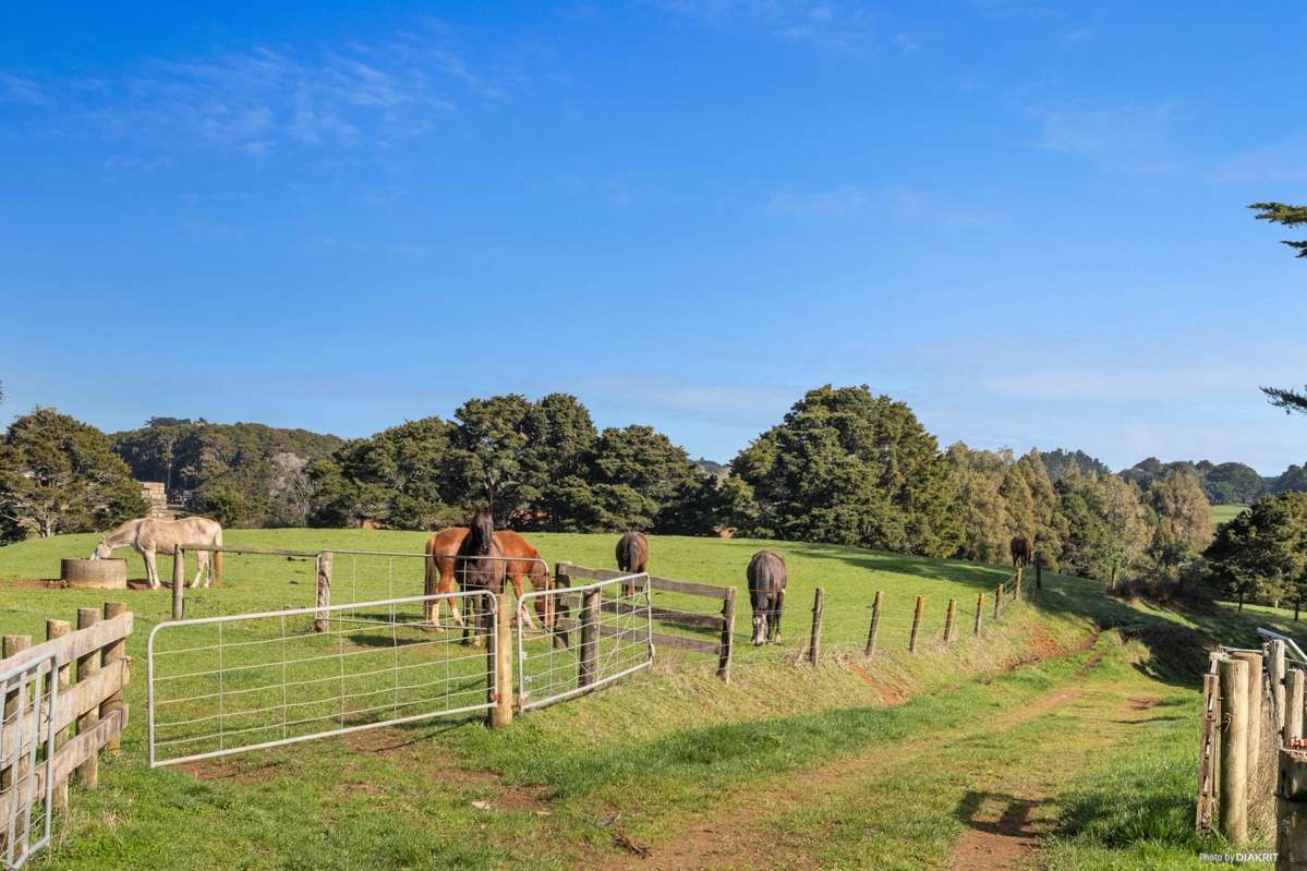 678 Waiuku Road_5
