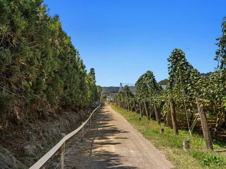 19 and 39 Butler Road Te Teko_10
