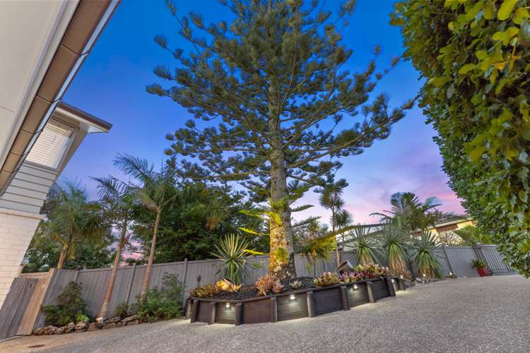 53a Kowhai Road Mairangi Bay_19