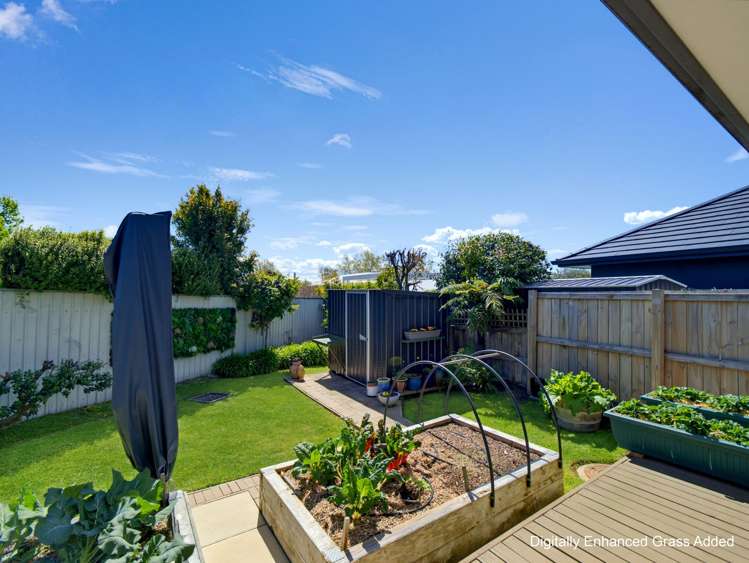 20C Brookvale Road Havelock North_6
