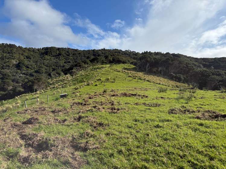 97 Medland Road Great Barrier Island_8