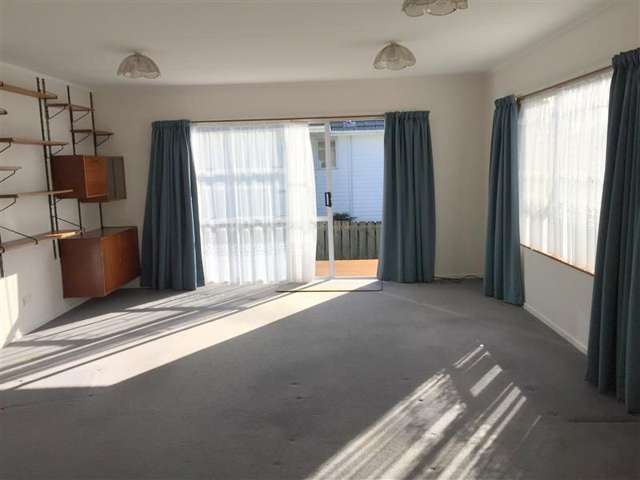 39b Nikau Street Springfield_1