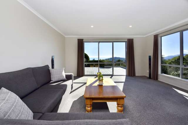 131 Panorama Drive Enner Glynn_4