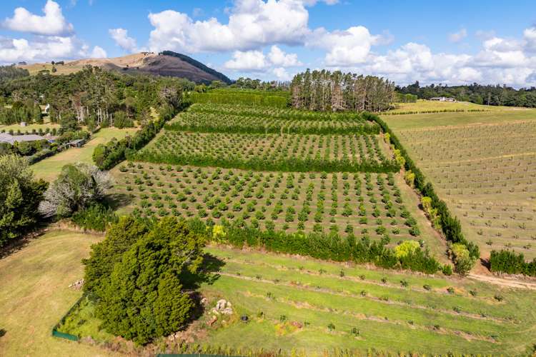 66 Kokopu Block Road Maungatapere Whangārei Rural Property For