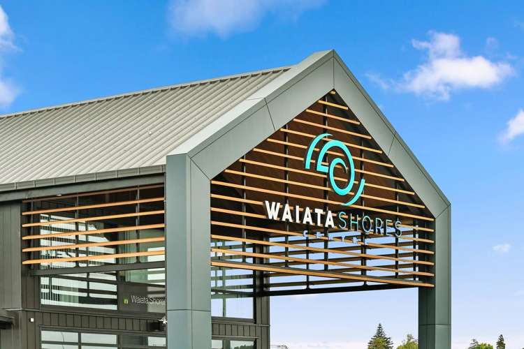 41 Adlam Lane Takanini_1