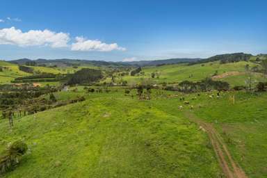 Lot 1/471 Purangi Road_3