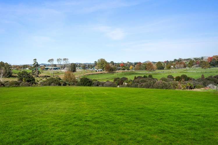 59A Wilks Road West Dairy Flat_2