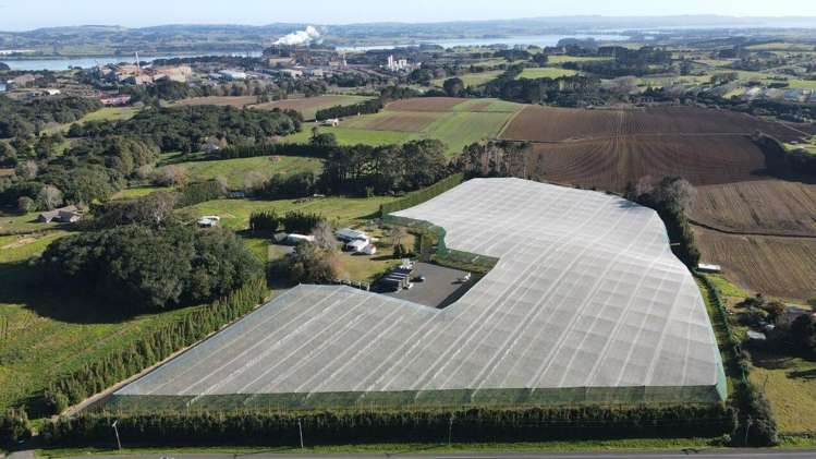 341 Glenbrook Waiuku Road Glenbrook_1