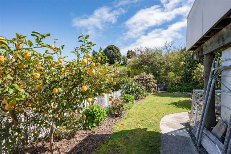 17 Tui Glen Road Atawhai_6